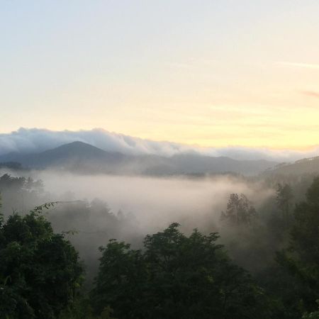 伊尔图里帕诺住宿加早餐旅馆 Polverara 外观 照片